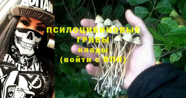 МДМА Белокуриха
