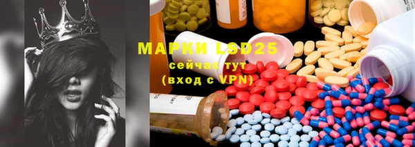 ECSTASY Сосновка